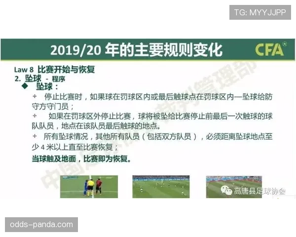 足球禁赛规则详解：累计黄牌与红牌判罚标准及执行流程