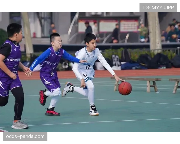 解读篮球合理冲撞区规则的具体判罚标准